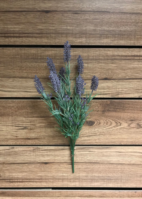 Lavender Bush