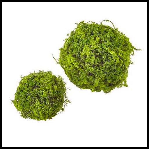 Moss Ball